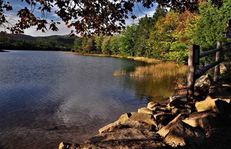 pond